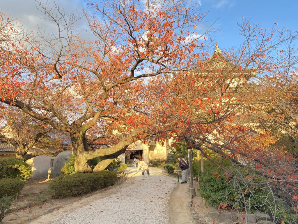 和歌山城と紅葉